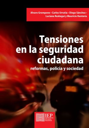 TENSIONES EN LA SEGURIDAD CIUDADANA. REFORMAS
